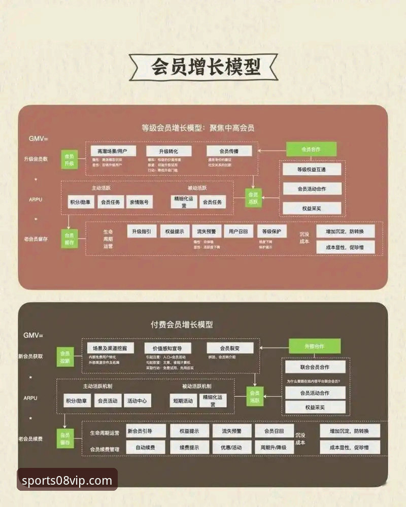 08vip体育平台VIP正规认证体系全面解析：行业标准与安全升级