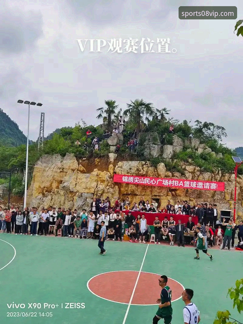 VIP体育认证全面解析：08vip体育平台如何确立行业标杆