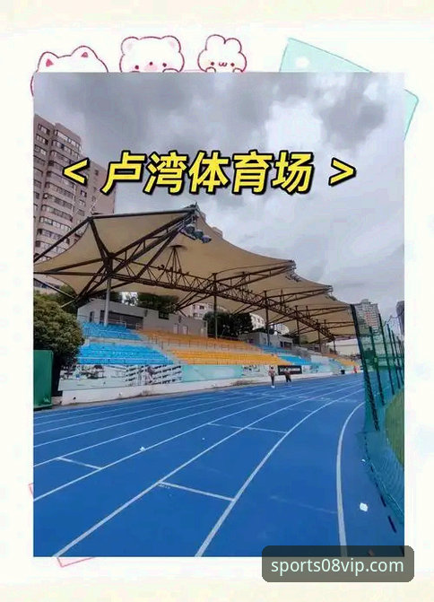 08vip体育平台最新版本评测：v2.8.0为何成为体育爱好者的首选？